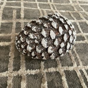 Brand New Snowy Pinecone
